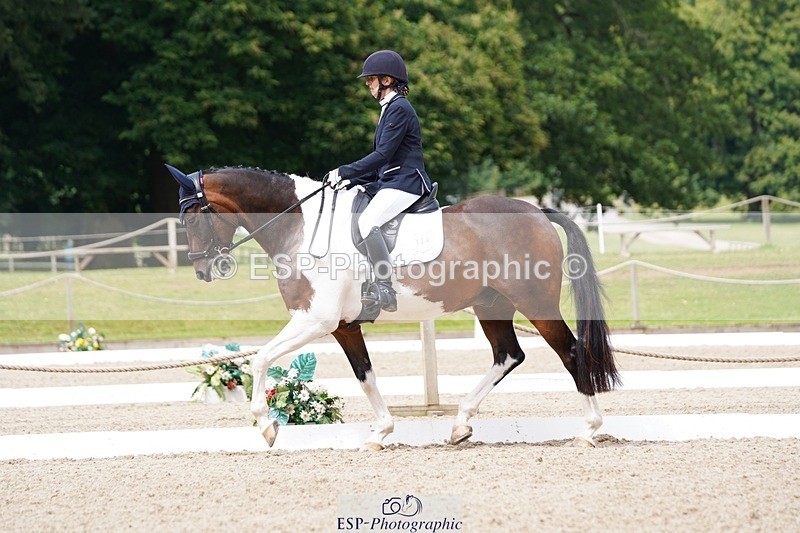 240721-113114-07812 - 124-Sophie_Savage-Two_Tone_Ted