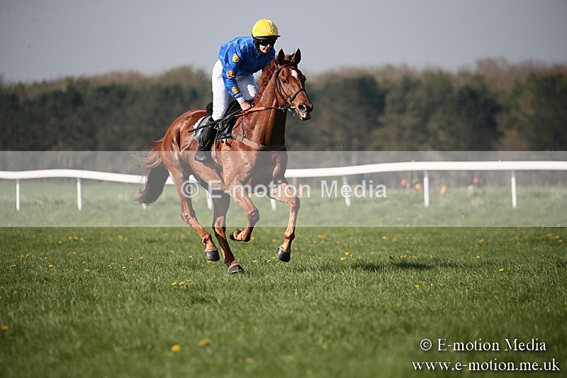 PtP 210418 488 - South & West Wilts Point-to-Point Larkhill 21/04/18