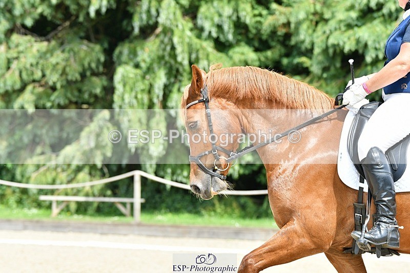 230623-142005-00959 - Cls 5 Elementary 43