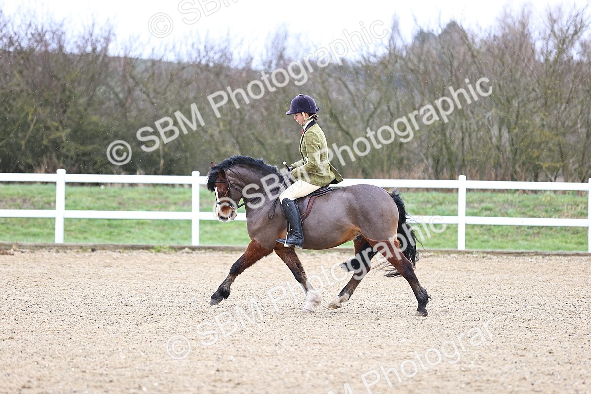 SBM_007594 - Class 31-32 - M&M Confined Novice Small-Large