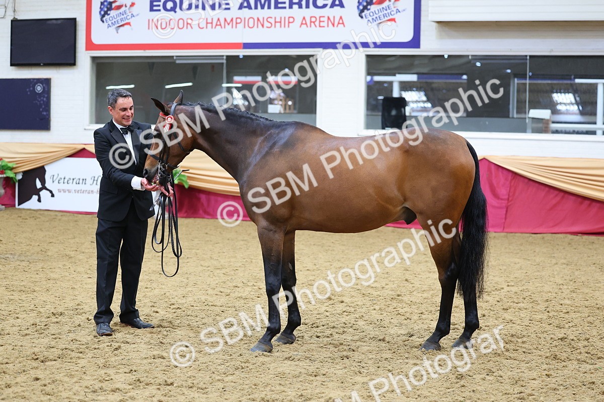 SBM_22715 - Class 903 - Supreme Final - IH Pre Vet