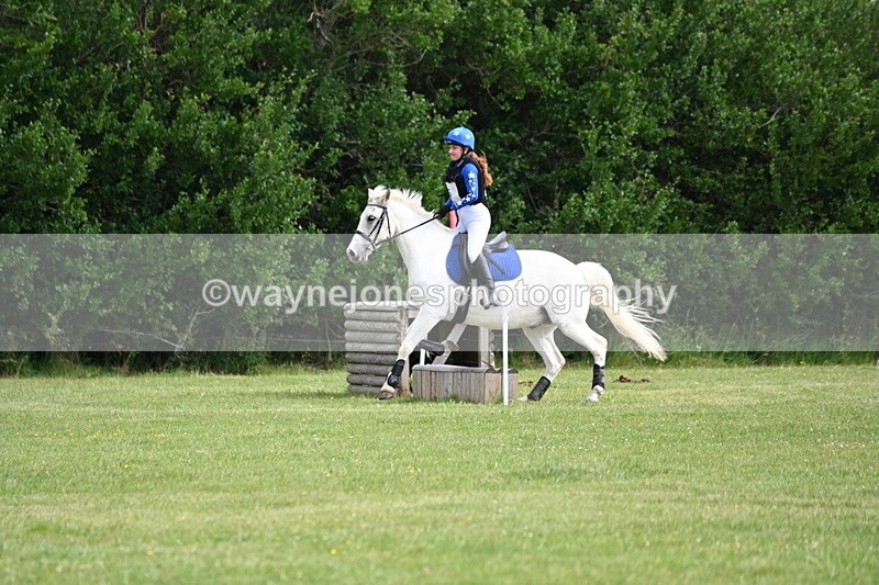 WJ6_2335 - Class 2 40cm