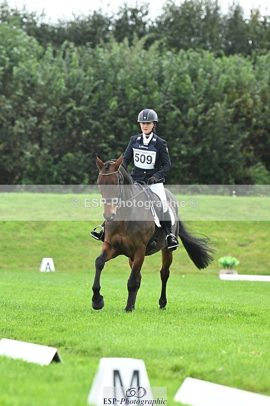 241024-114603-03313 - 509-Tichy.Sanders-SPARHANGER.VELVET