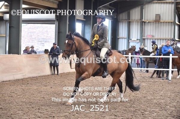 JAC_2521 - CLASS 3 Intermediate Working Hunter