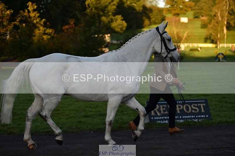 231022-083256-21221 - 659-MACS.BOY-Daisy.Fulton-TrotUp+SJ