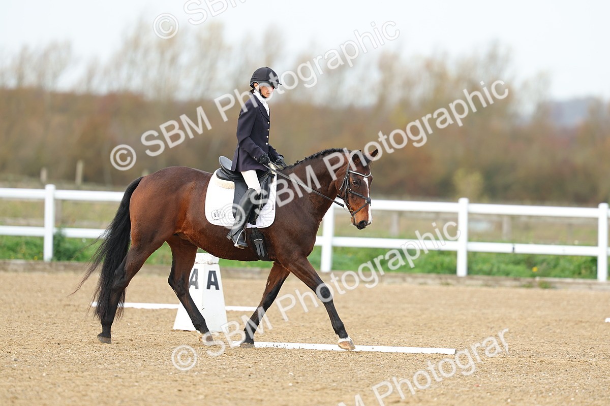 SBM_003524 - Class 6 - Novice 2