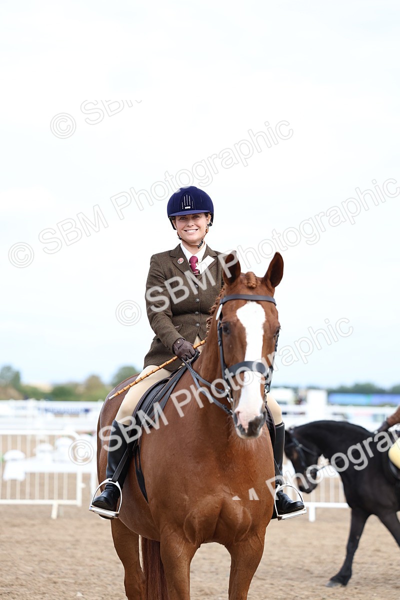 SBM_01851 - Class 18 - Handsomest Gelding - IH or Ridden