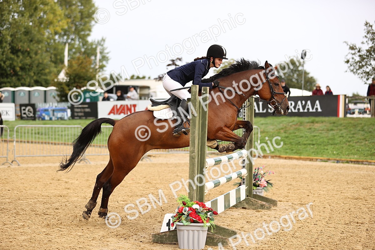 SBM_58202 - J41 - Grand Tour Horse & Pony 95cm