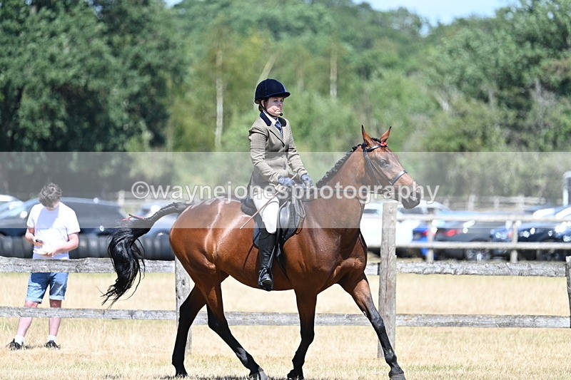 WJ7_3146 - Class 7 Riding Club Show Horse