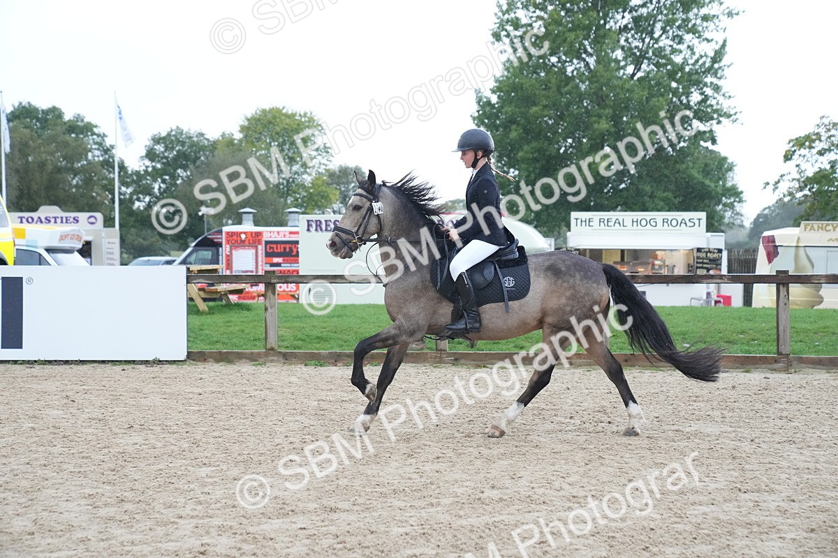 SBM_01663 - J54 - Clear Round 50cm