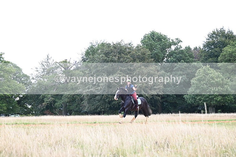 DSC_6521 - Time at Statue 12:45 to 13:15