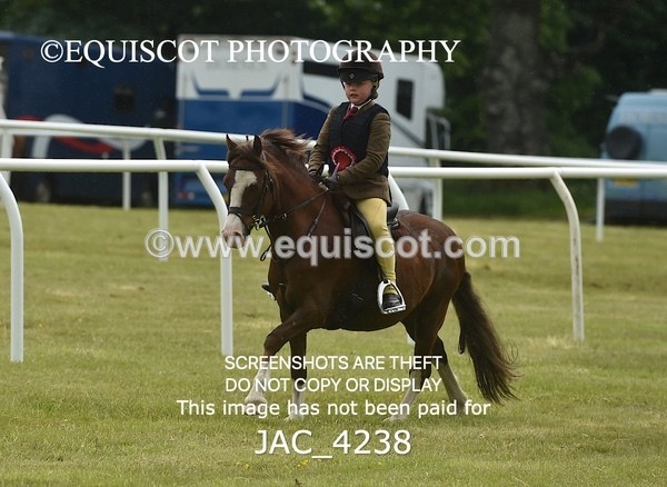 JAC_4238 - WORKING HUNTER CHAMPIONSHIP