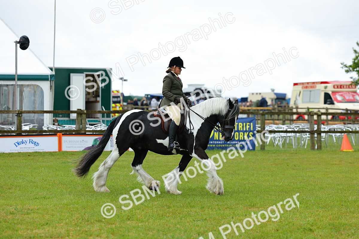 SBM_01244 - Class 1-4 - BSPA Ridden