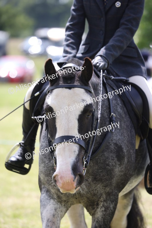20260614-1957 - Class 21 - Novice Working Hunter Pony