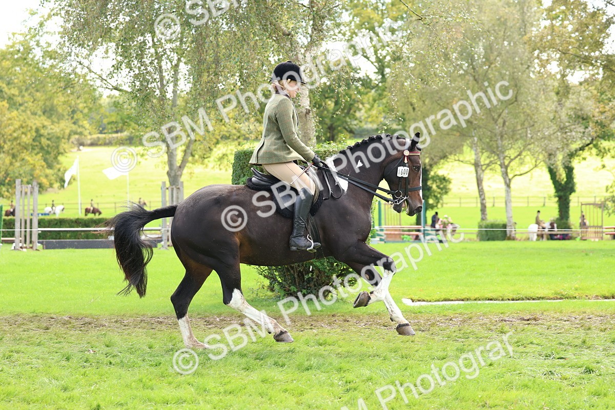 SBM_45224 - S27 - Young Veteran Ridden