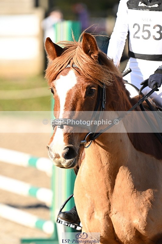 250302A-094027-01288 - Cls 01 70-75cm