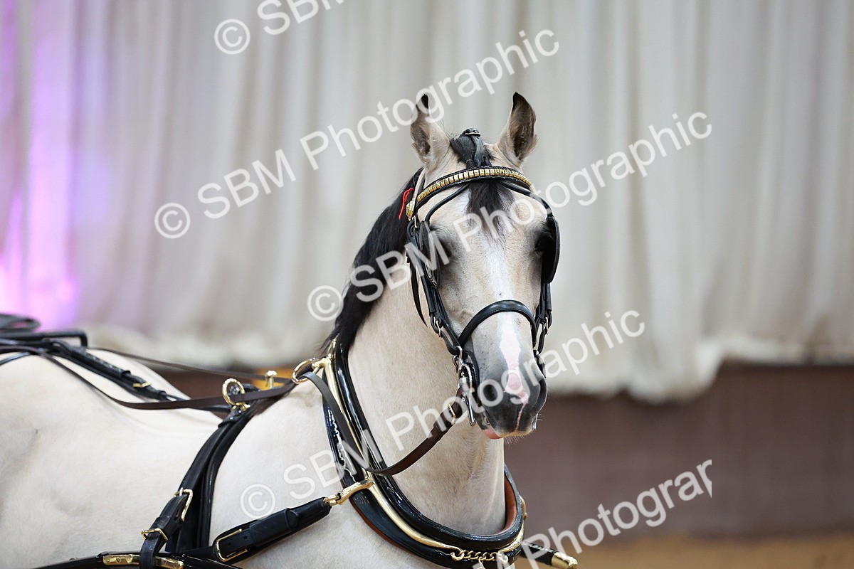 SBM_000037 - Class 1 - Non Hackney Private Drive 13.2hh and Under