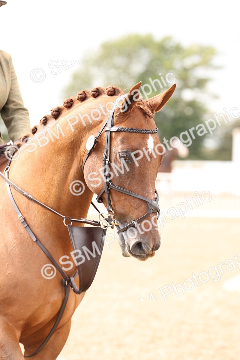 SBM_07452 - Class 59a -  Style & Performance - 80cm (15-19)