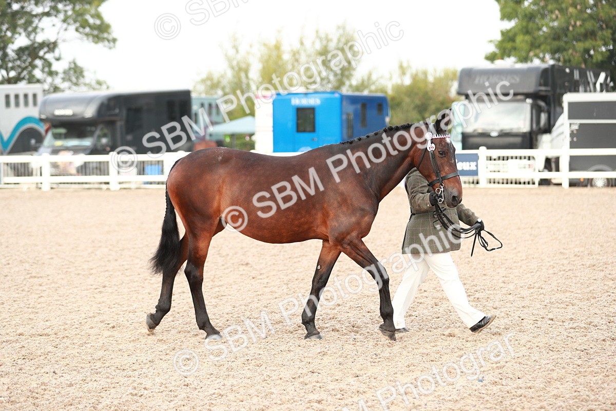 SBM_09472 - Class 201 Best Turned Out IH