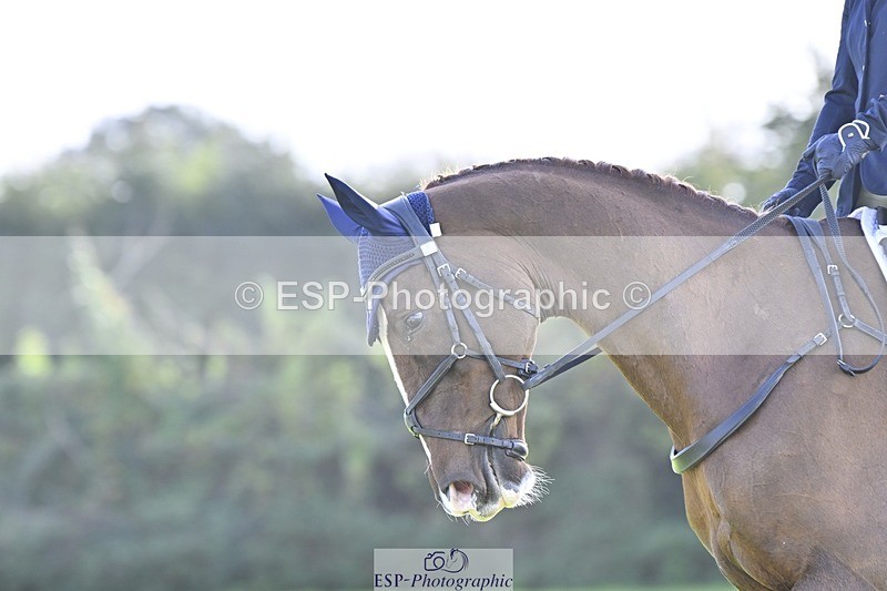 241025-153826-09880 - 595-Josie.Dix-RUSTICOATS