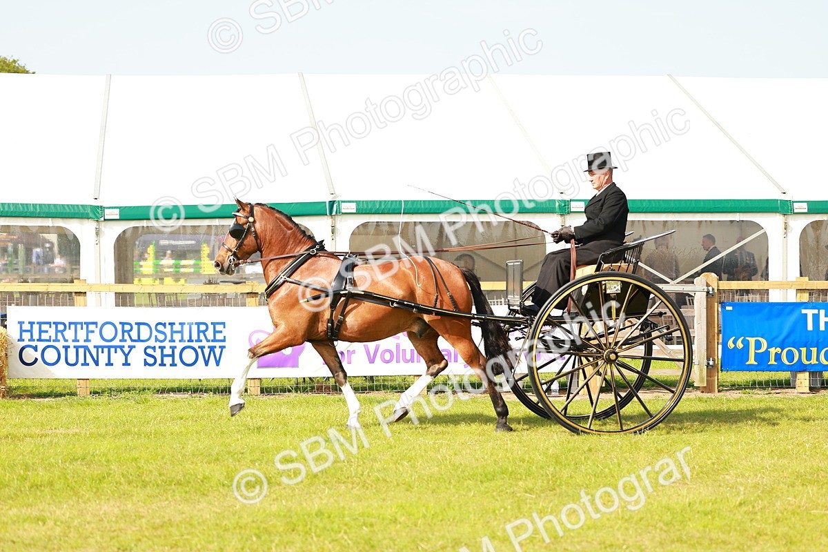 SBM_01189 - Class 2-4 - HOYS Private Driving