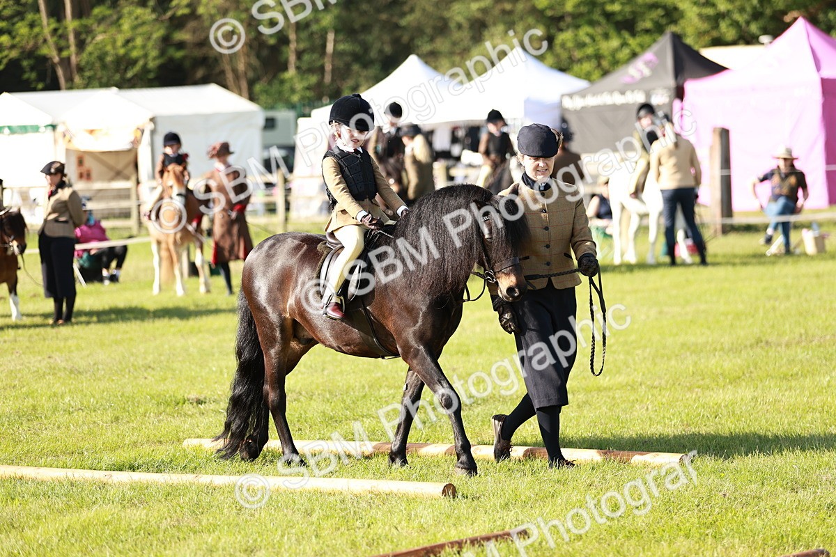 SBM_11153 - Class 106-107 - BSPS LIHS Working Sports Pony