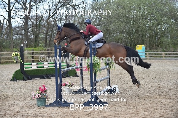 BPP_3997 - CLASS 4 Senior Newcomers/ 1.10m Open