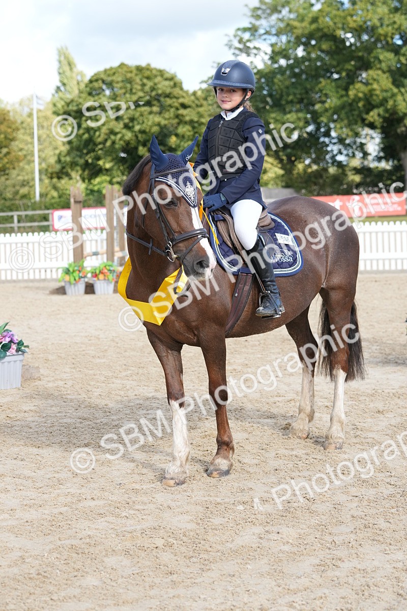 SBM_48599 - J7 - Junior Pony 60cm Championship