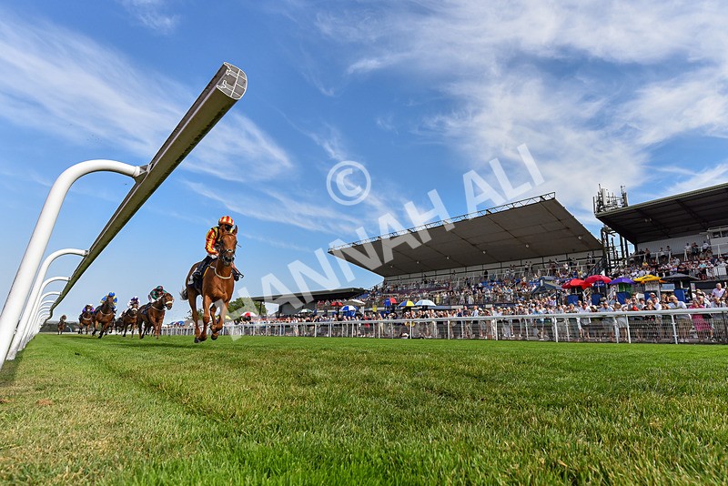 130826-Race 6-Saxon Grace-5270 - Race 6 16.45pm Racing Again On Saturday 29 August Handicap