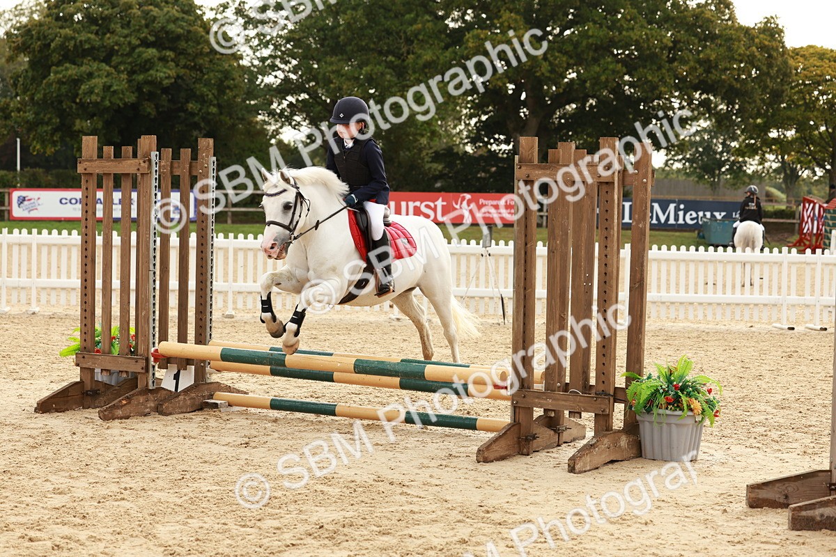 SBM_55763 - J11 - Junior Pony 50cm Championship