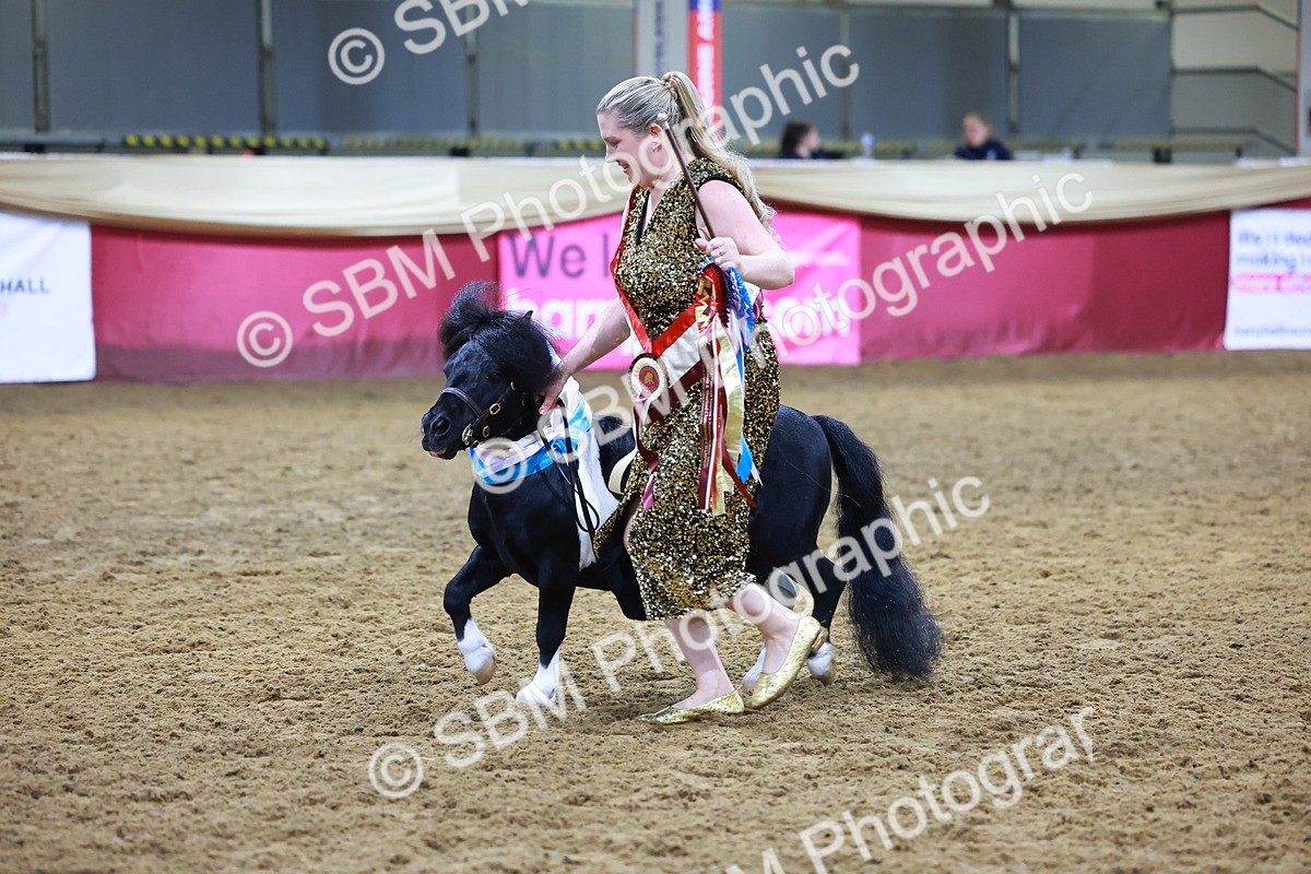 SBM_15356 - Class P - M&M Champ