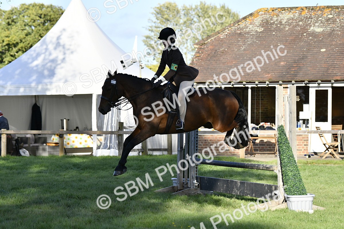 SBM_53534 - S14 - Riding Club Horse