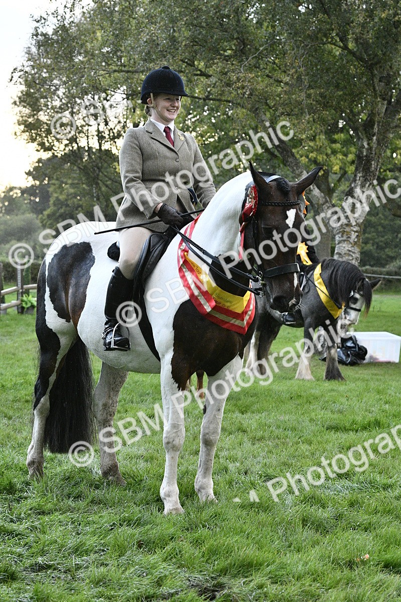 SBM_53336 - S14 - Riding Club Horse