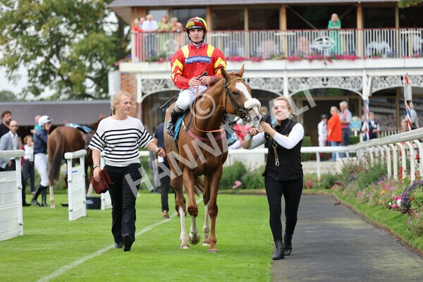 yr04092022r3-41 - Race 3 2.55pm The Elevator Company Garrowby Stakes