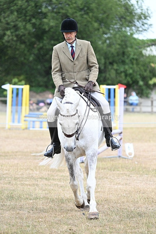 WJ7_0930 - Class 7 Riding Club Show Horse