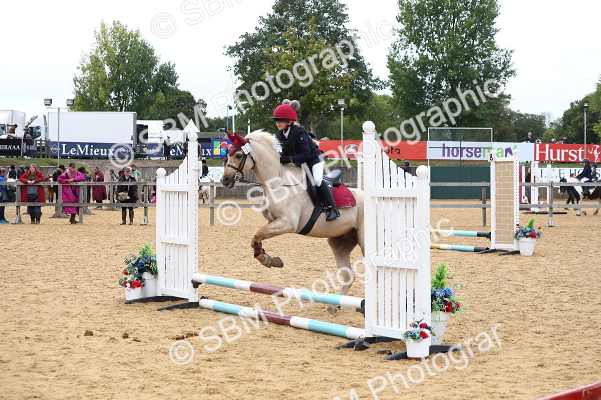 SBM_68157 - J3b - Mini Tour Junior Pony 40cm Championship
