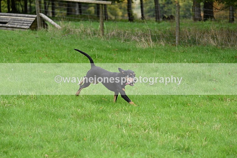 WJ7_4378 - Camera 1 Line 3