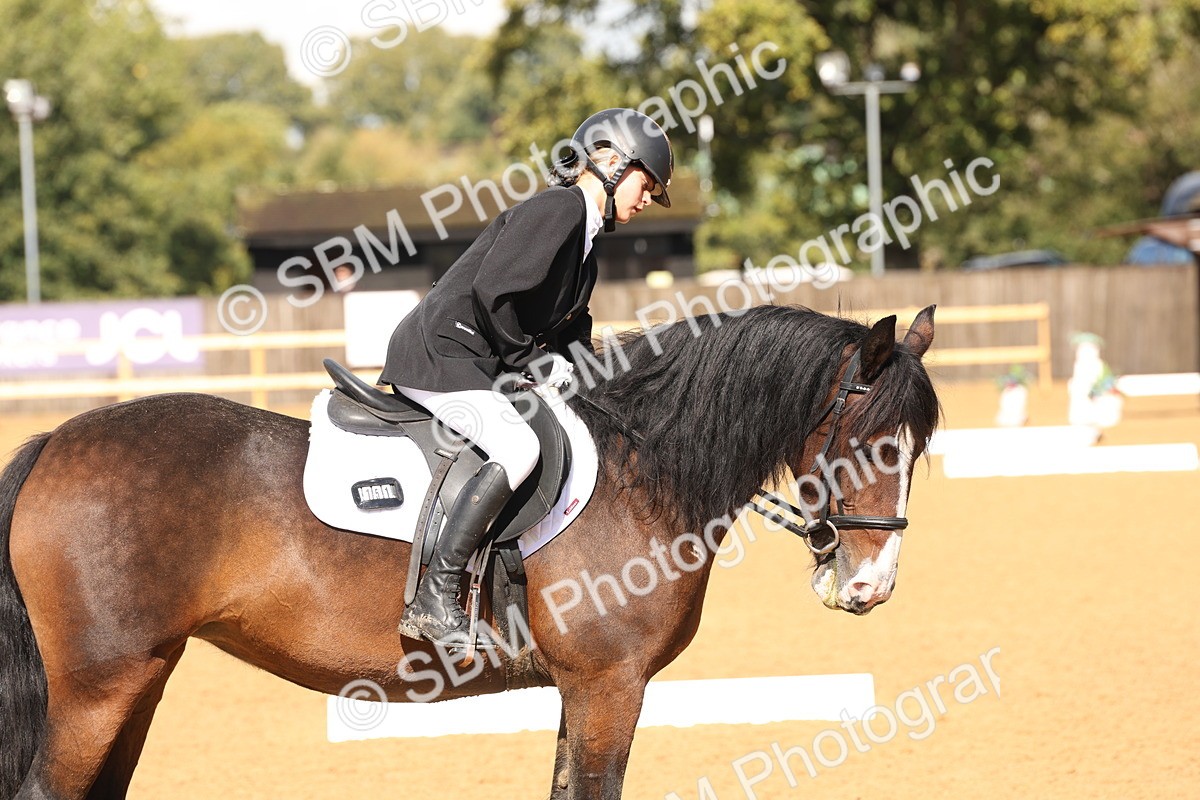 SBM_44208 - D6 - Small Tour Championship Intro 4