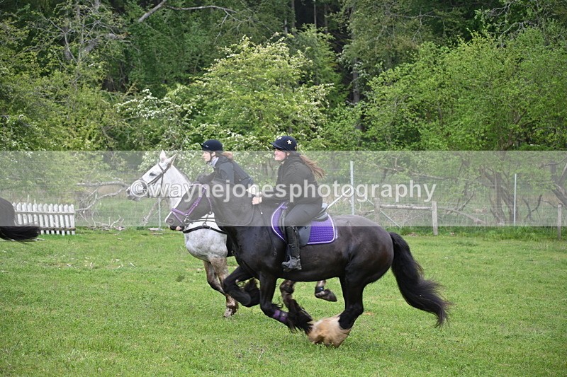 WJ6_2490 - A Camera