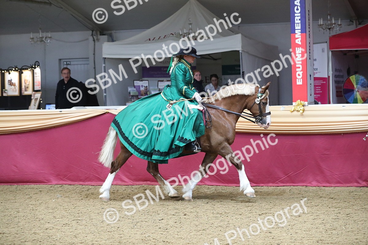 SBM_12231 - Class 107 Ridden Costume- Astride Adult (20+)