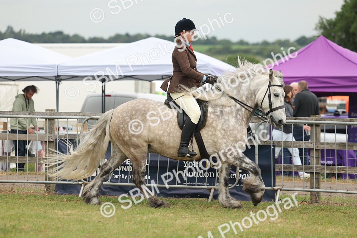 SBM_08952 - Class 78-80 - Ridden M&M Non Welsh Ponies