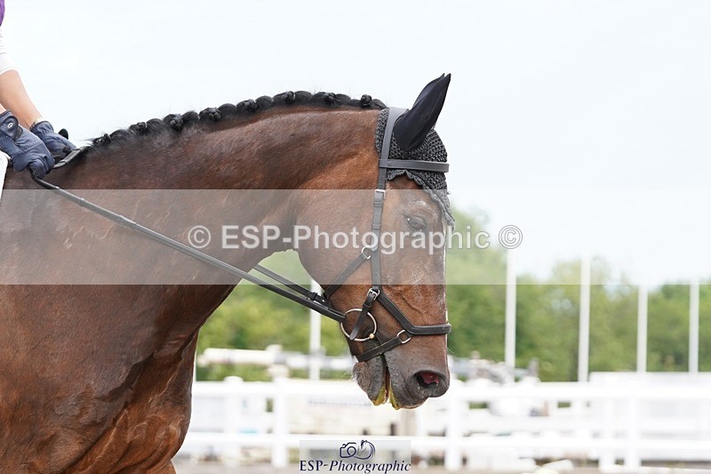 250621-105654-05756 - Quest Cls 7-11, Prelim All