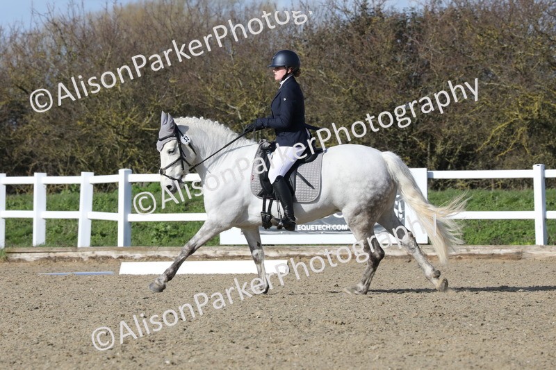 20260314-5099 - CT6 - Elementary 1