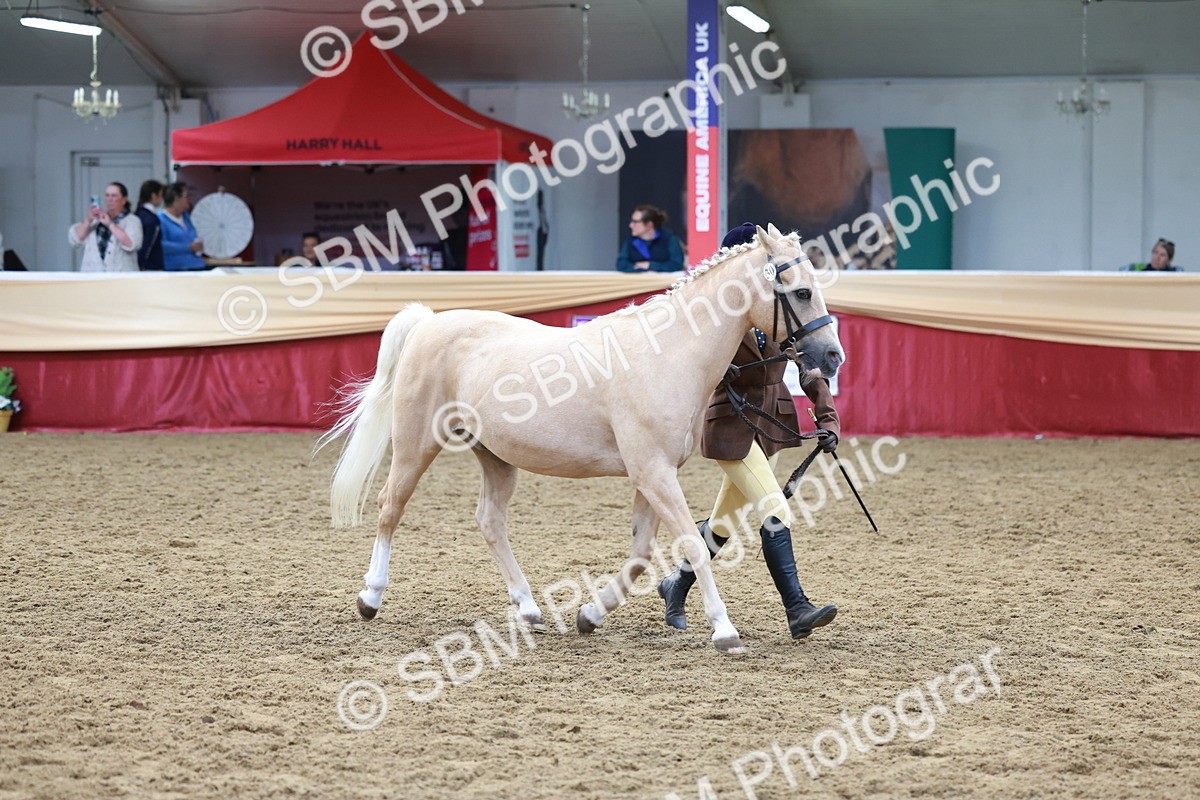 SBM_17460 - Class 951 - M&M IH Supreme Final