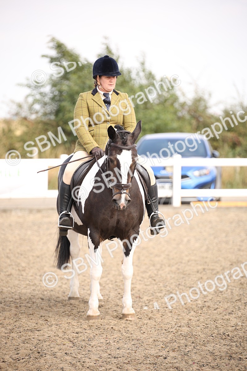 SBM_13616 - Class 406b - Working Veteran 50cm (20+)