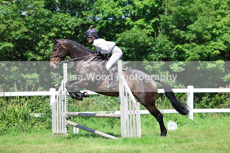 3E7A7048 - Class 30: Novice Working Hunter