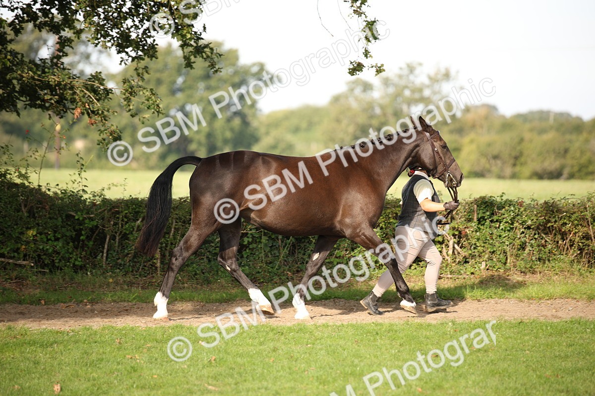 SBM_60079 - S53 - Hunter In Hand