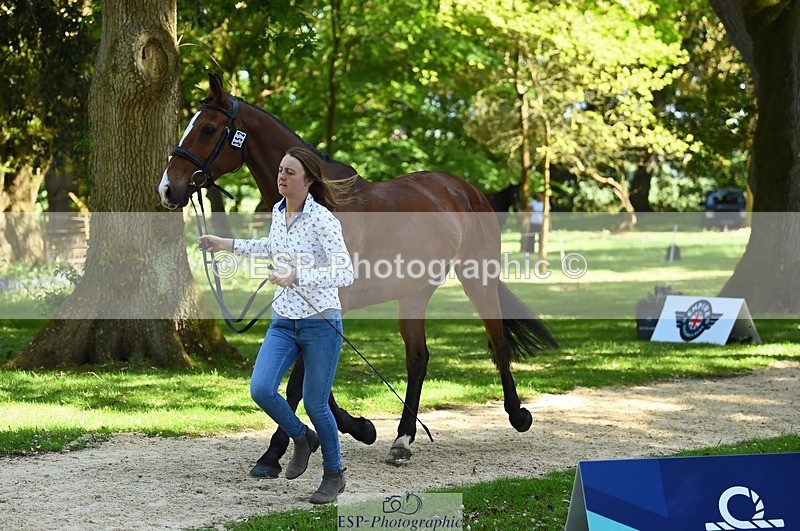 230524-153004-00310 - 352-TEQUILA_SUNRISE-Pippa_Taylor-WEDTrotUp+DR