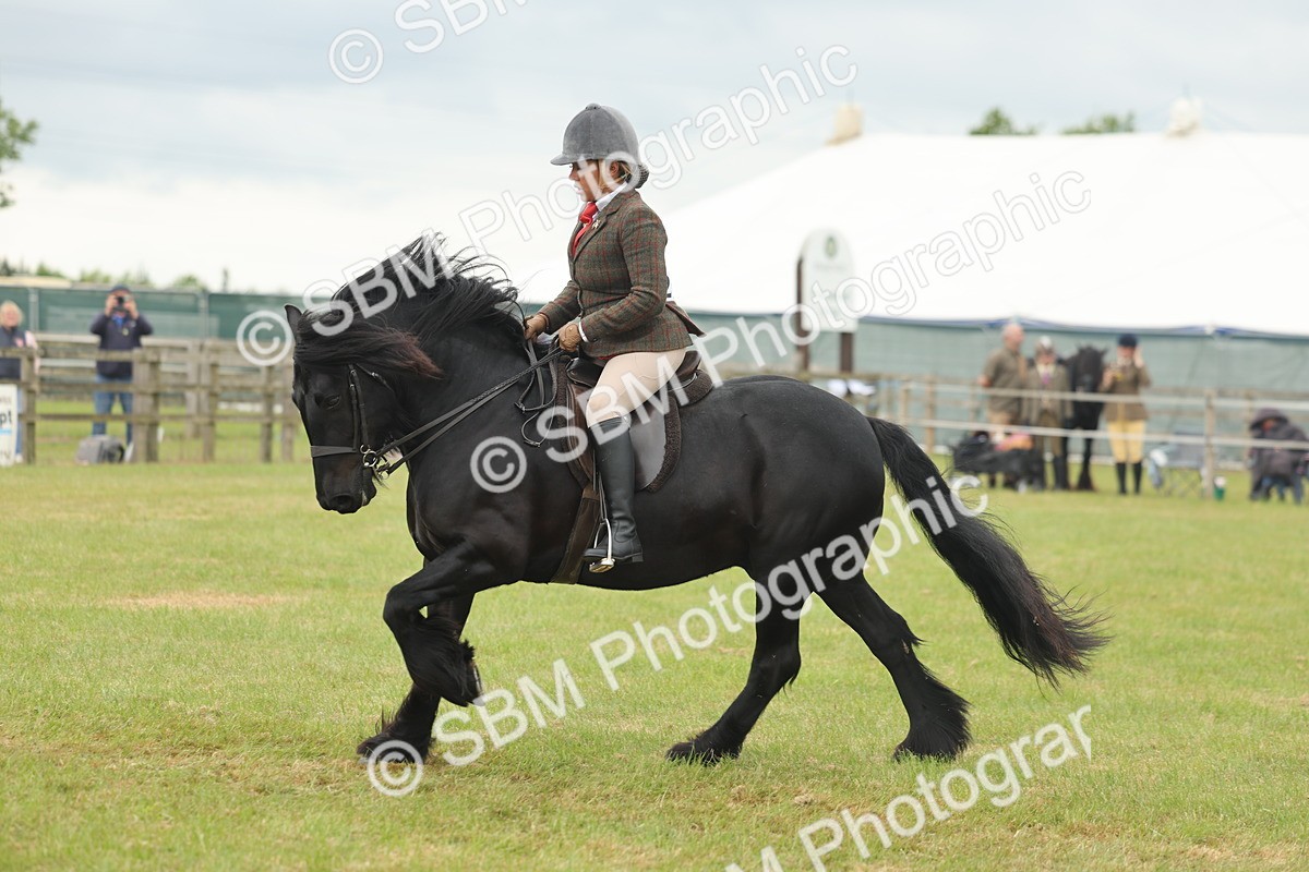 SBM_08969 - Class 78-80 - Ridden M&M Non Welsh Ponies