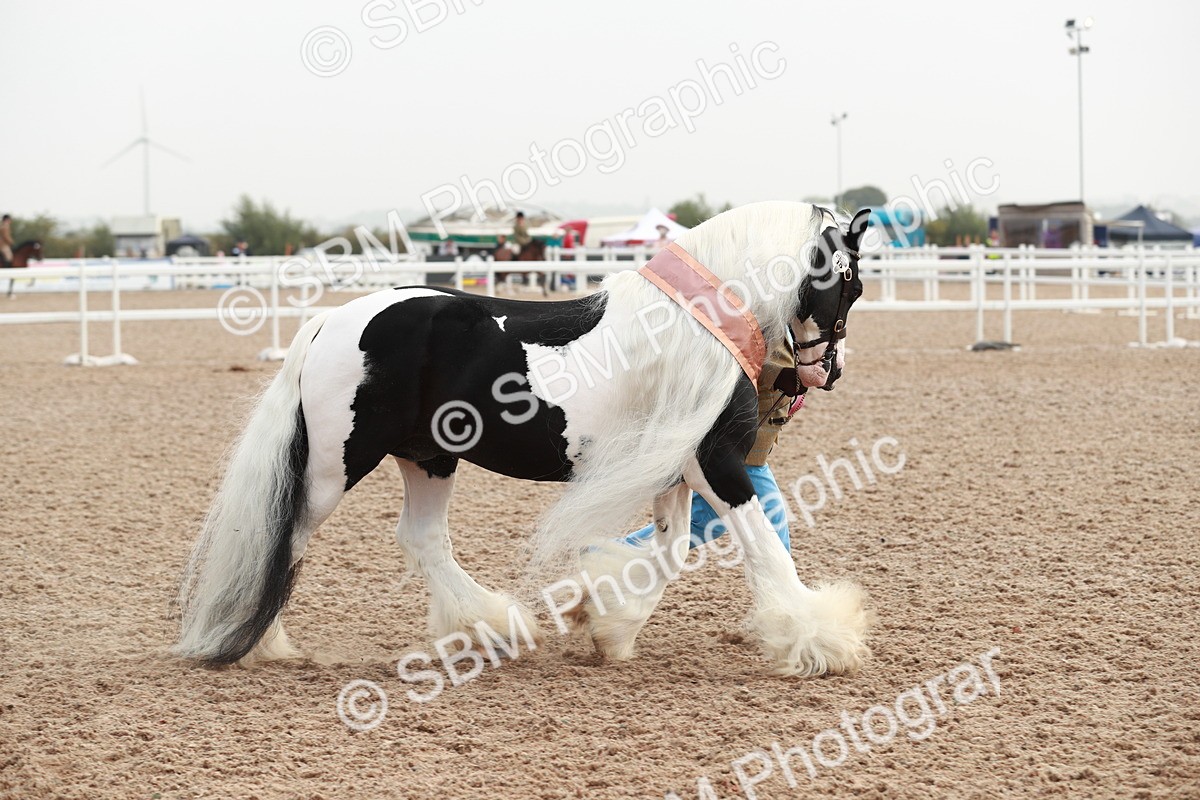 SBM_09593 - Class 201 Best Turned Out IH